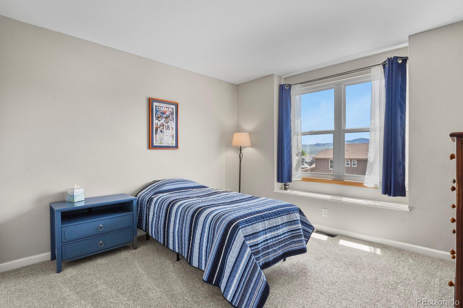 MLS Image #20 for 2146 s ellis court,lakewood, Colorado