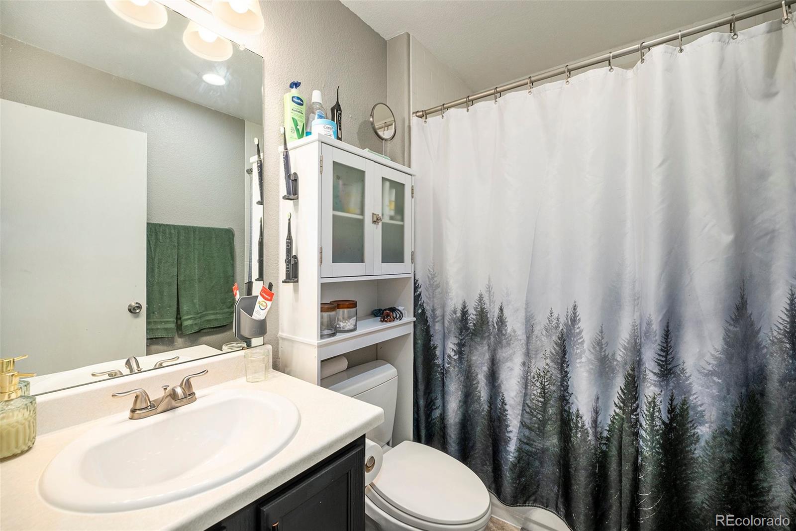MLS Image #11 for 1232  bluebird street,brighton, Colorado