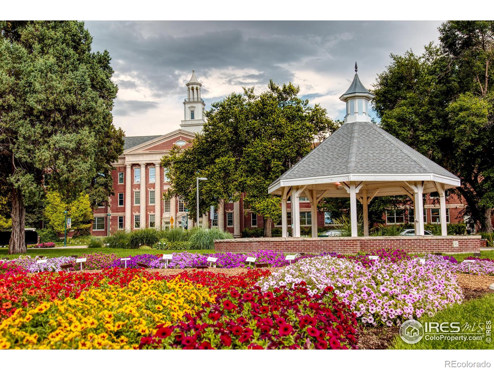 MLS Image #24 for 237  clover lane,fort collins, Colorado