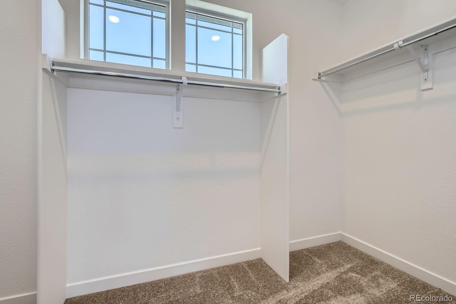 MLS Image #7 for 7171  waterleaf trail,littleton, Colorado