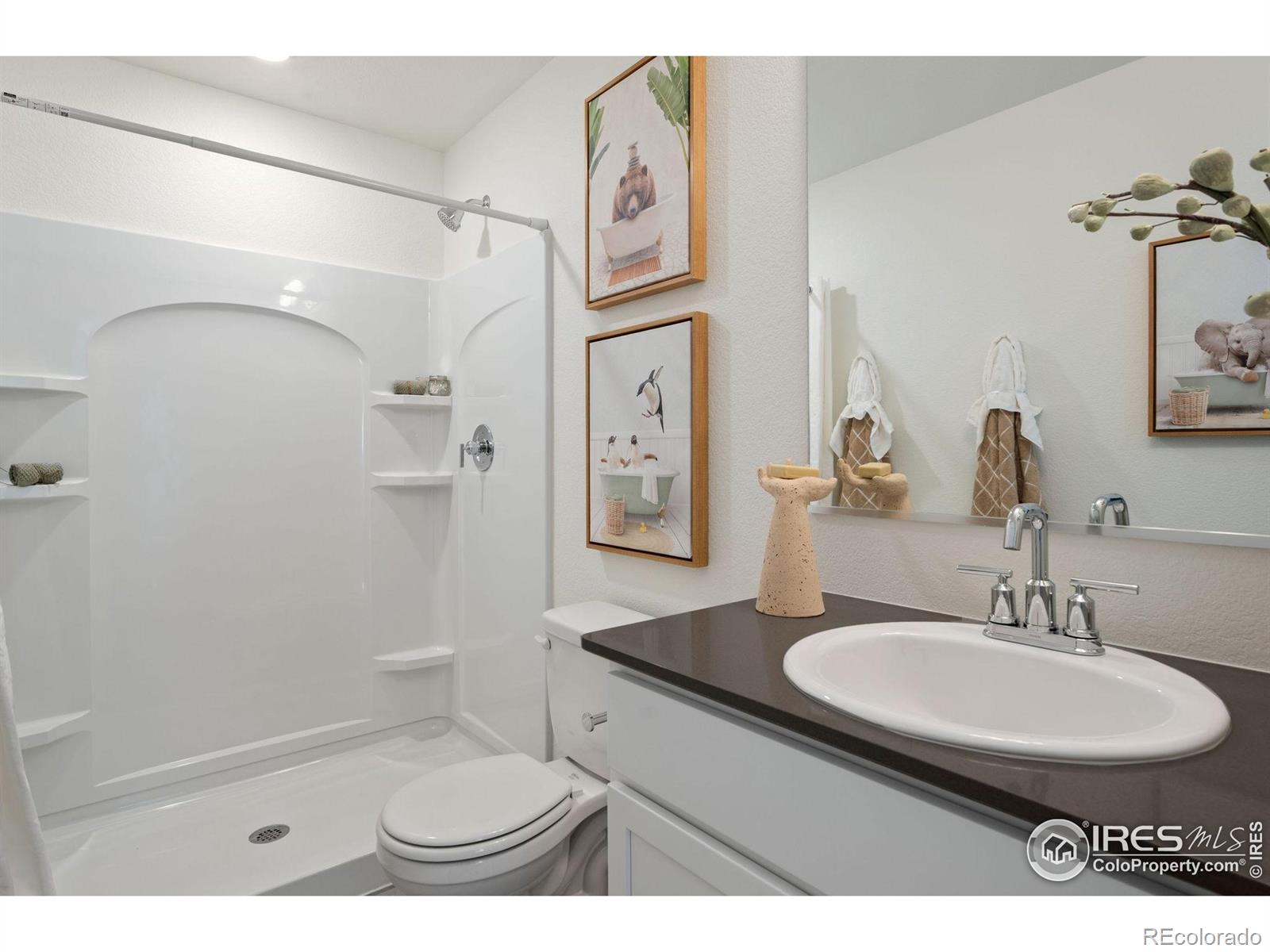 MLS Image #13 for 3752  pinnacles court,evans, Colorado