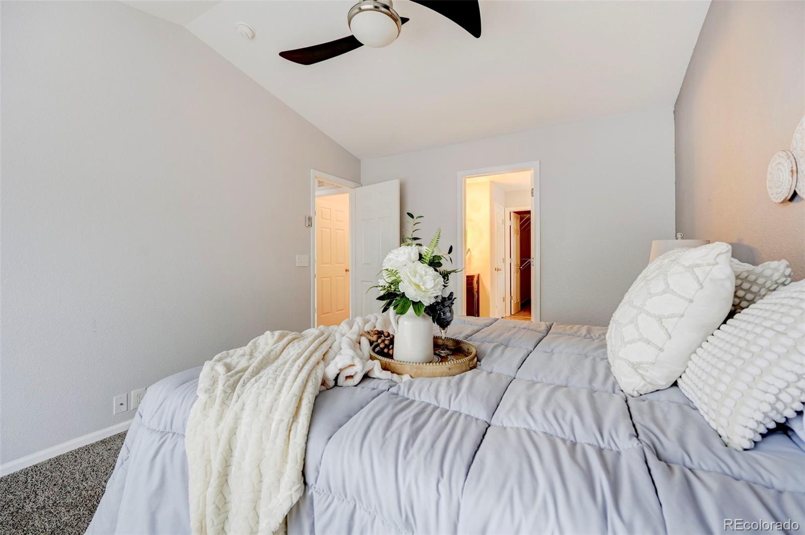 MLS Image #14 for 7316  brush hollow drive,fountain, Colorado