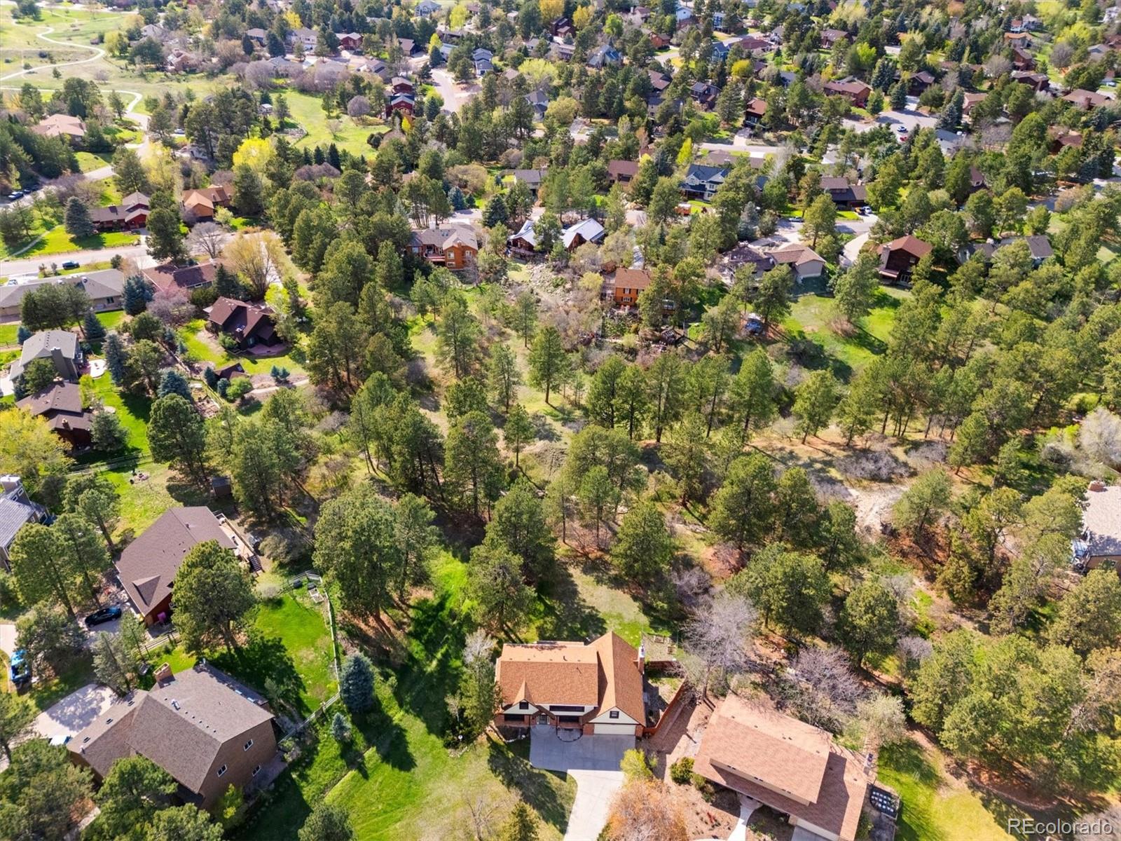 MLS Image #3 for 8409  lightening view drive,parker, Colorado