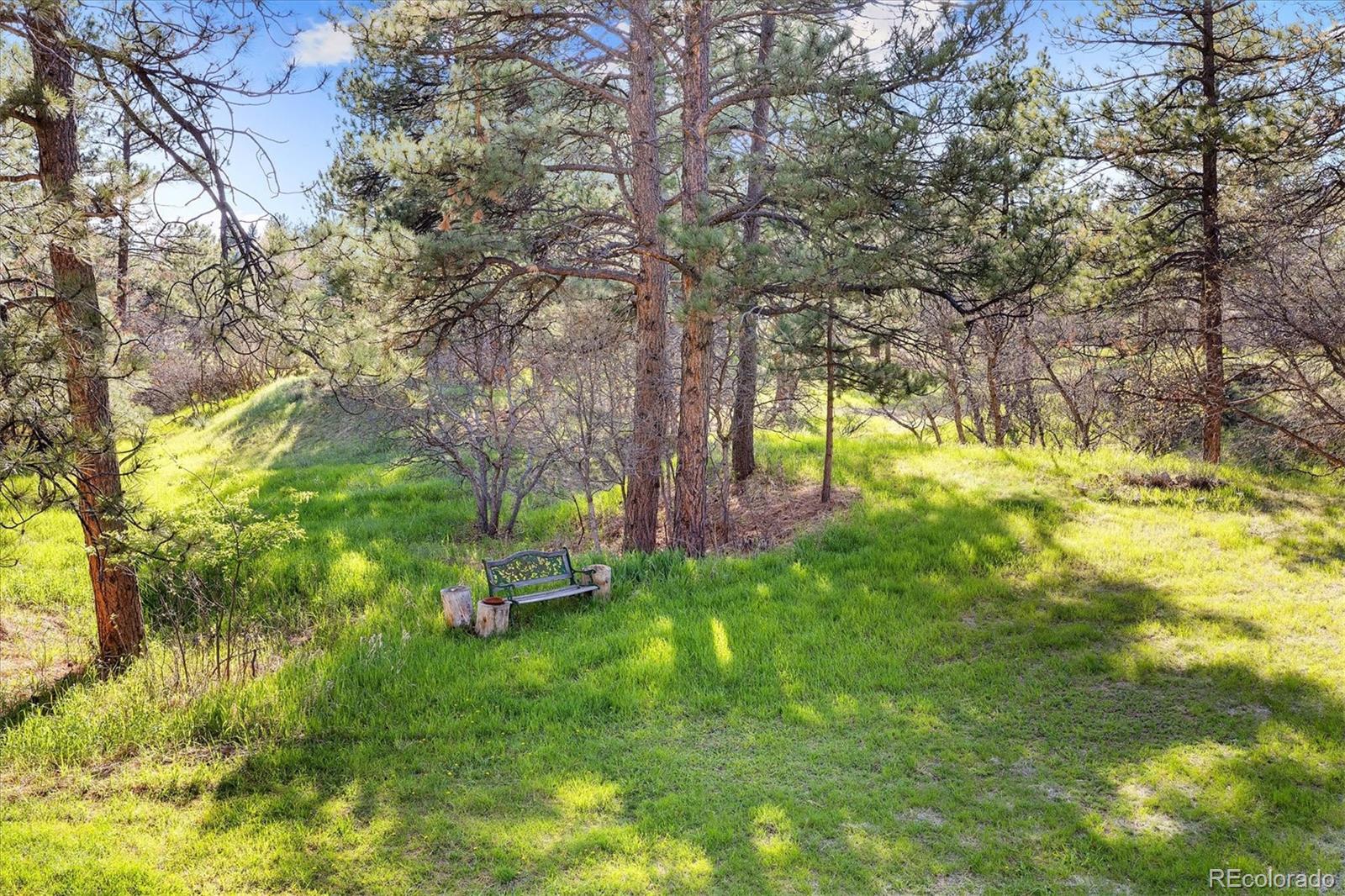 MLS Image #5 for 8409  lightening view drive,parker, Colorado
