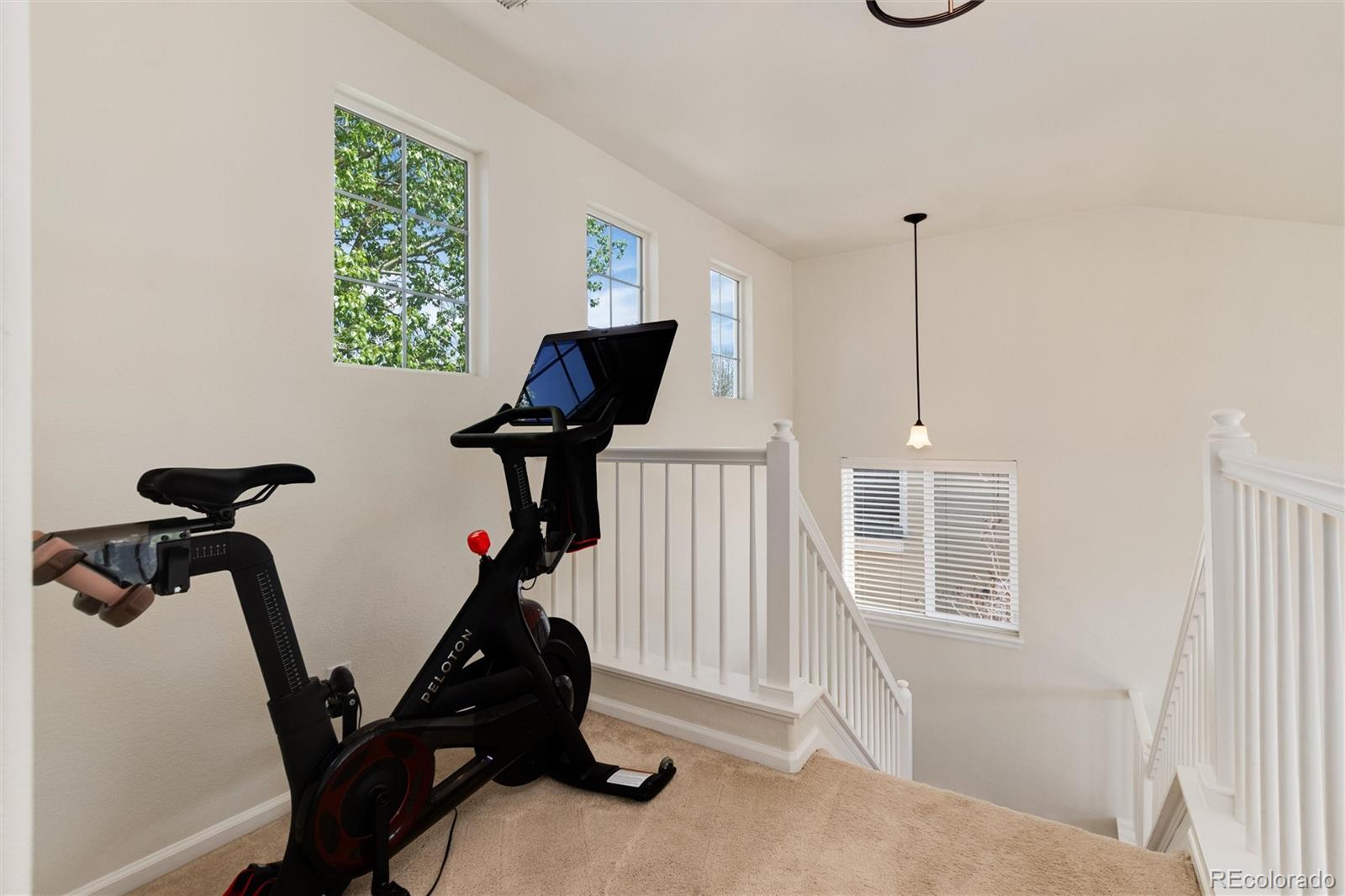MLS Image #23 for 4963  collingswood drive,highlands ranch, Colorado