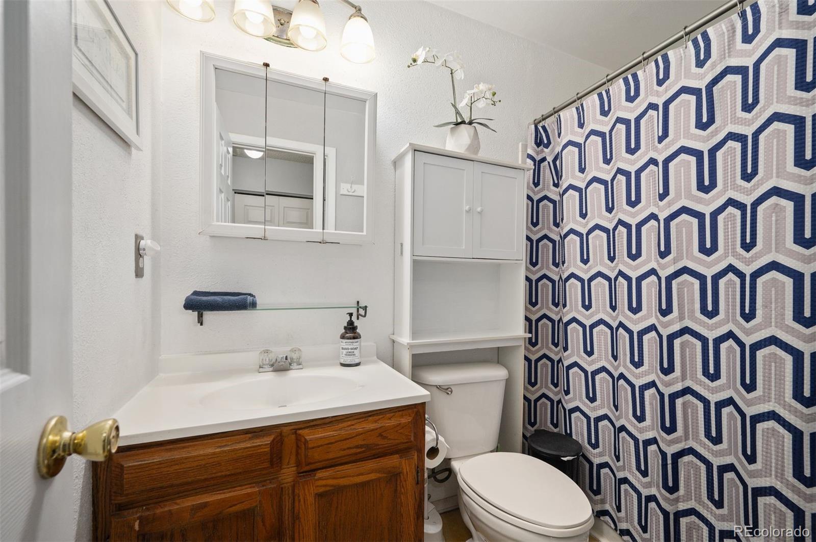 MLS Image #17 for 4360 s braun court,morrison, Colorado