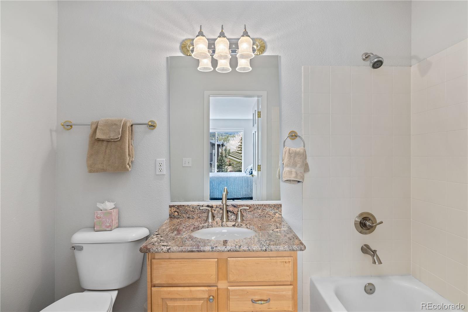 MLS Image #8 for 126  robin drive,silverthorne, Colorado