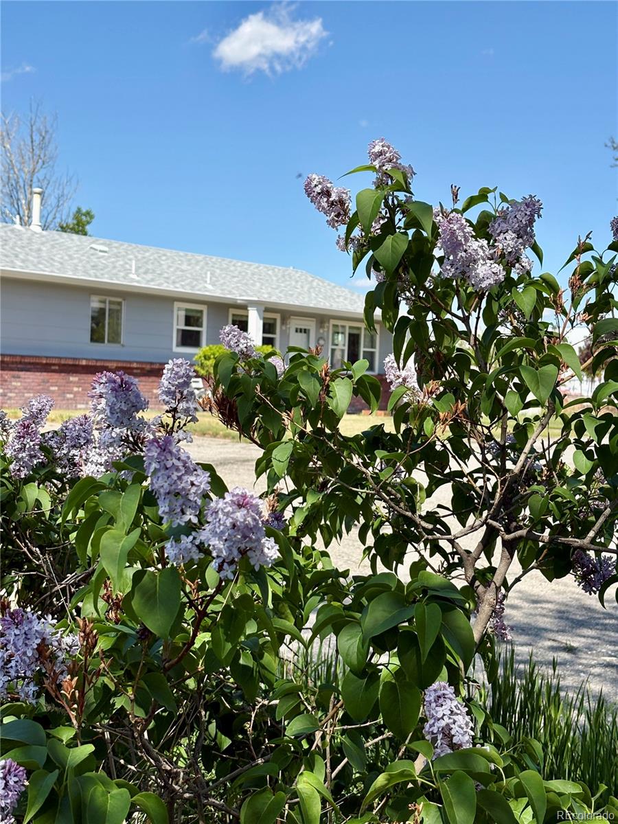 MLS Image #47 for 14347 e 134th avenue,brighton, Colorado