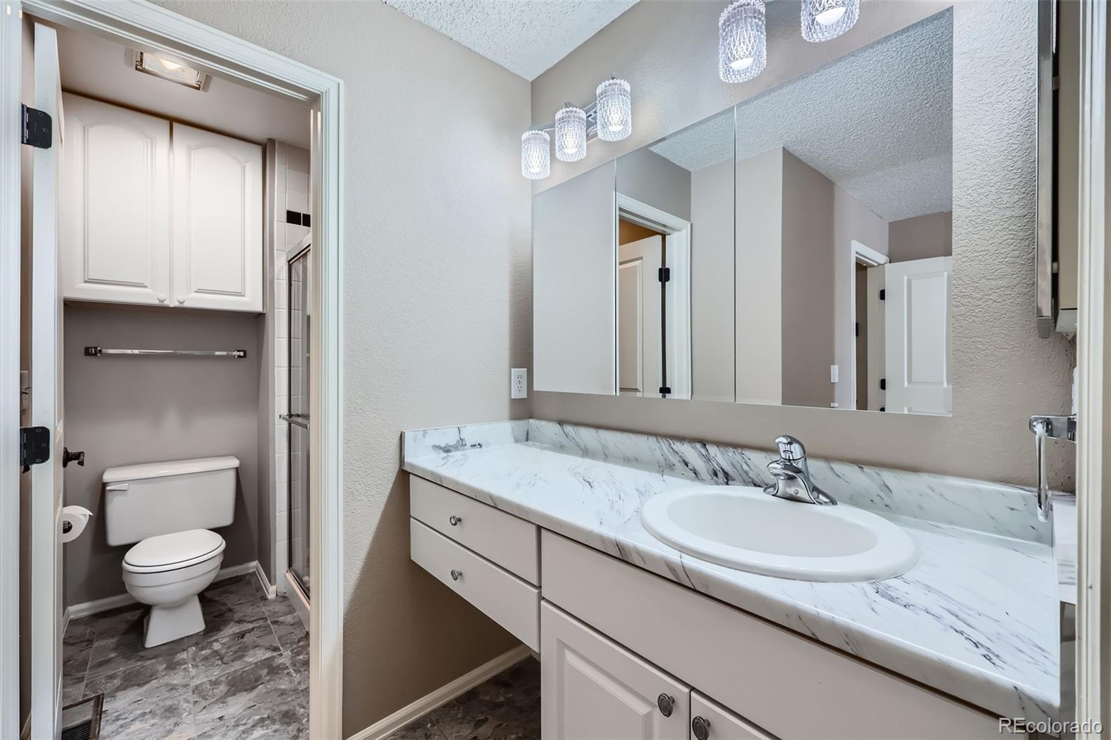 MLS Image #13 for 31  shetland court ,highlands ranch, Colorado