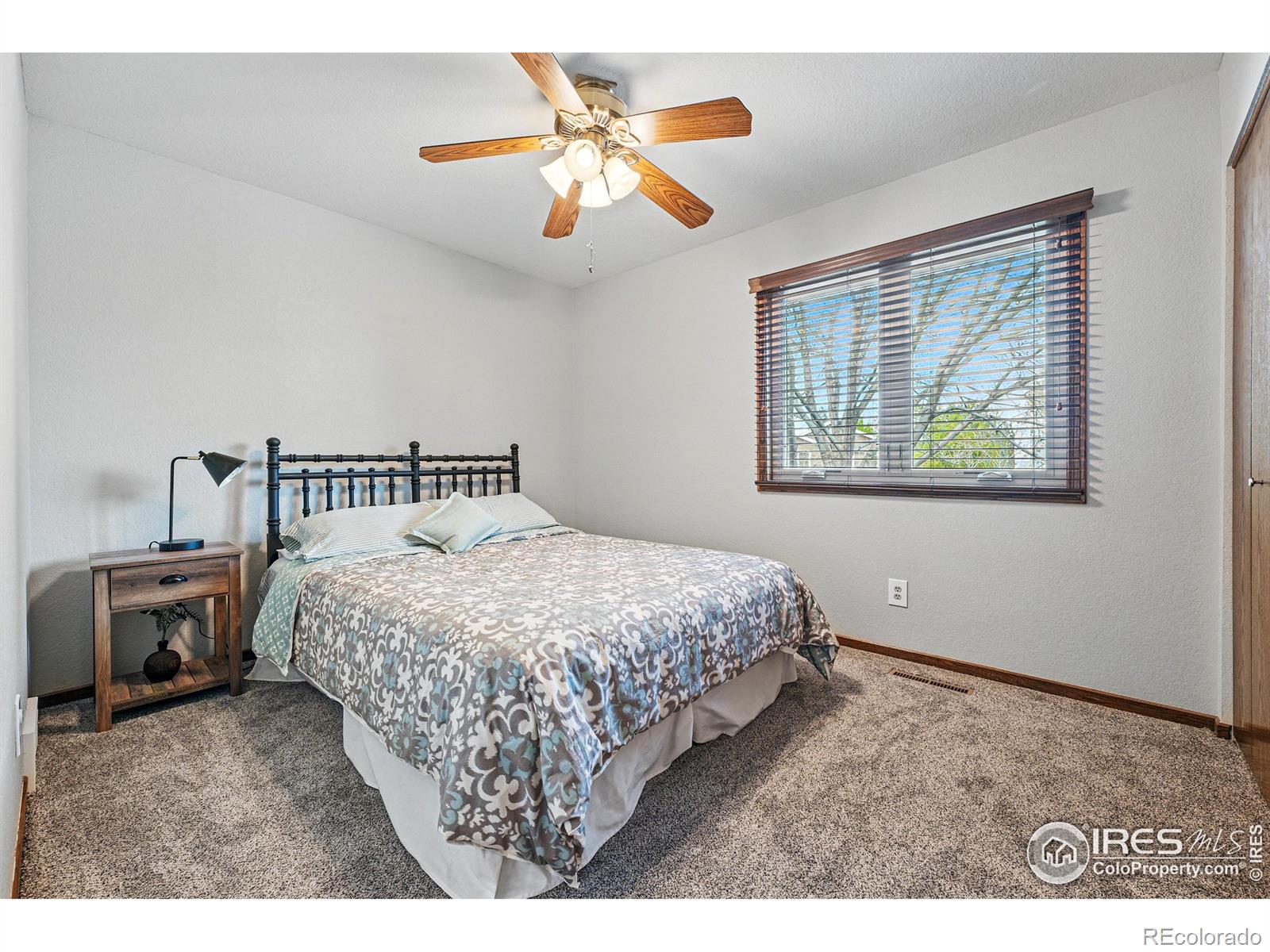 MLS Image #20 for 2819  seccomb street,fort collins, Colorado