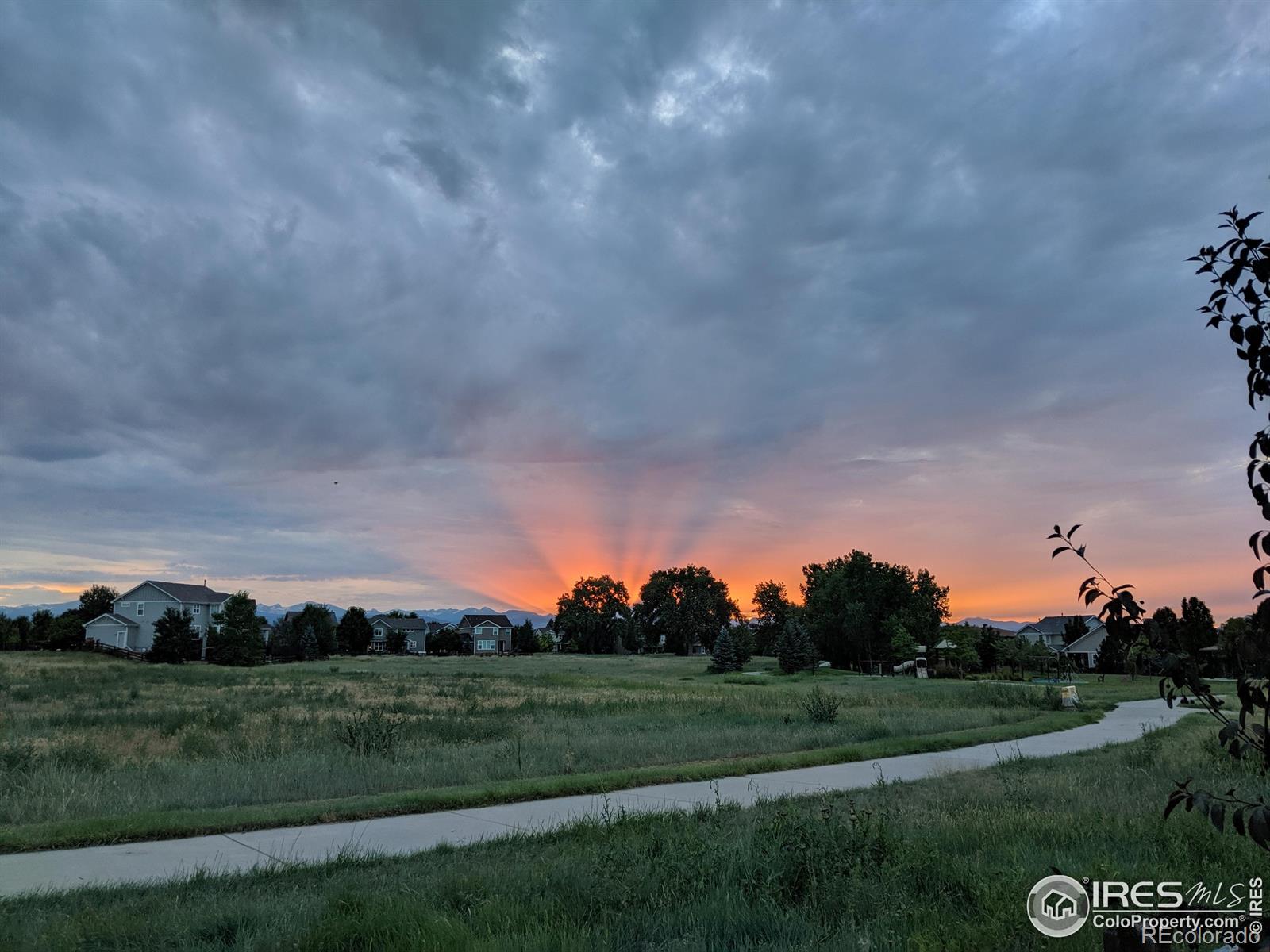 MLS Image #39 for 119  ortega court,erie, Colorado