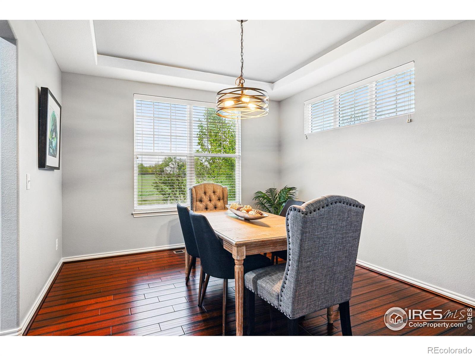 MLS Image #8 for 119  ortega court,erie, Colorado