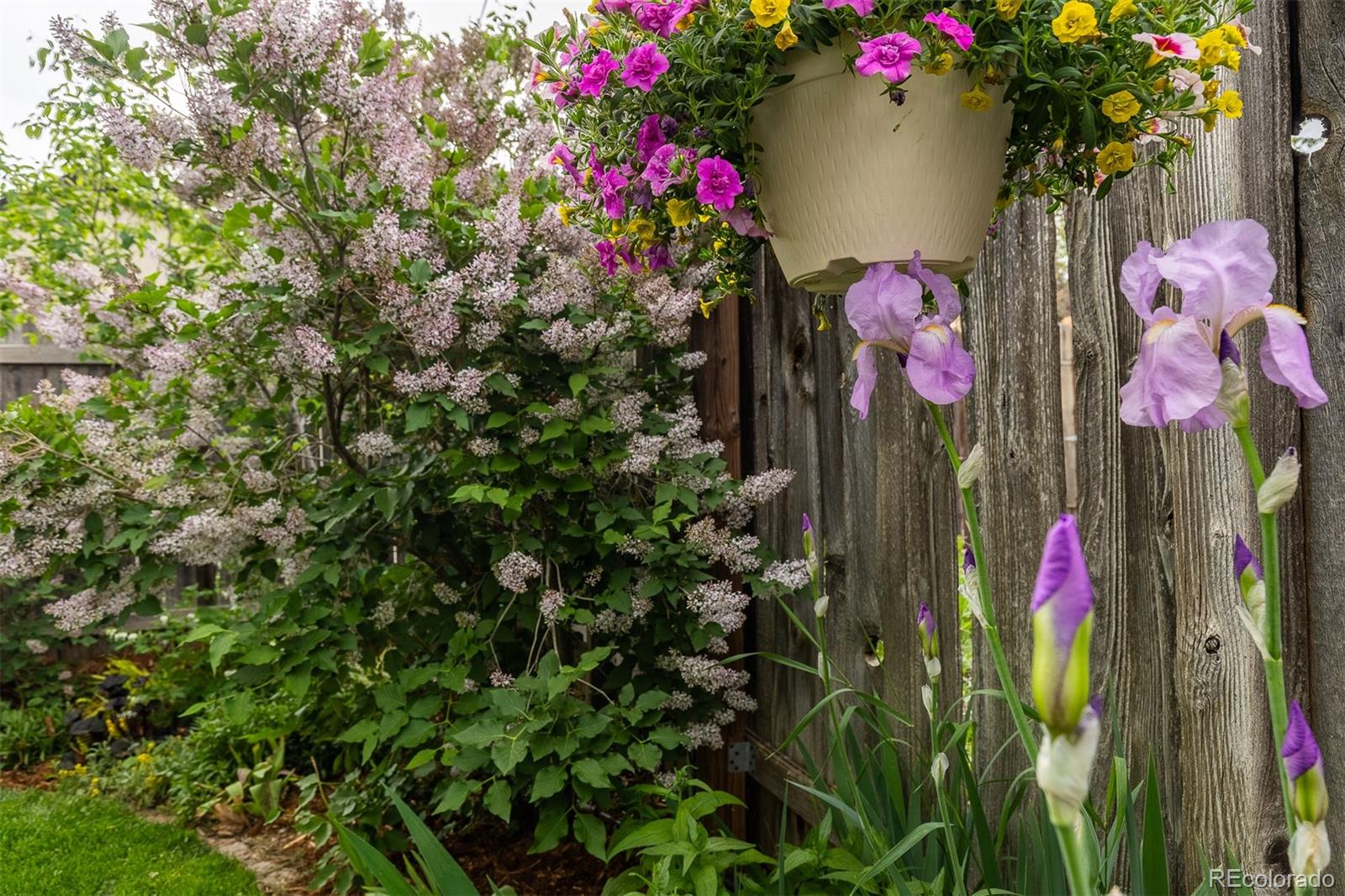MLS Image #31 for 4528 w 34th avenue,denver, Colorado