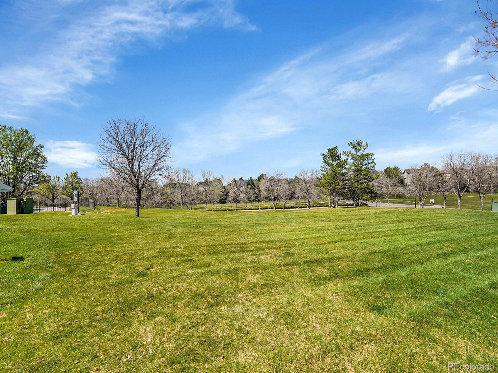 MLS Image #42 for 10388  lions path,lone tree, Colorado