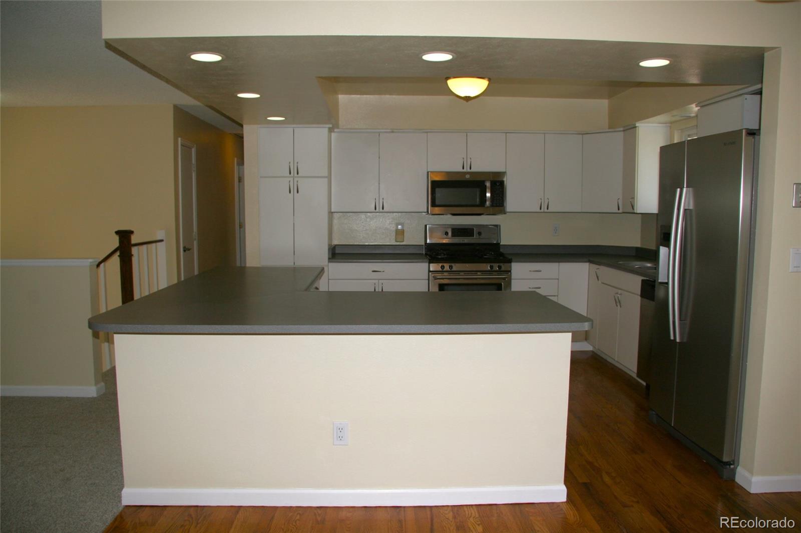 MLS Image #4 for 1008  park view court,castle rock, Colorado