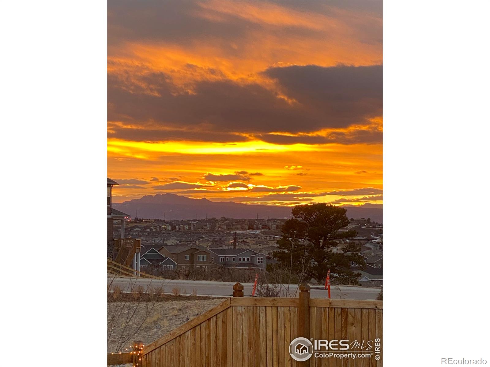 MLS Image #25 for 1839  pinion wing circle,castle rock, Colorado