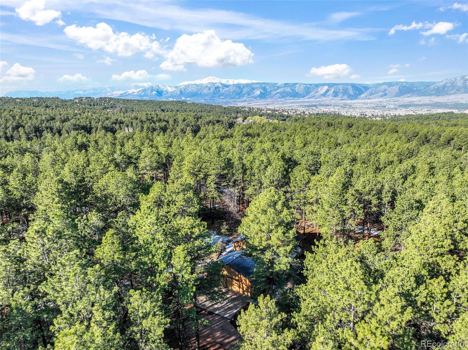 MLS Image #8 for 18680  arrowwood drive,monument, Colorado