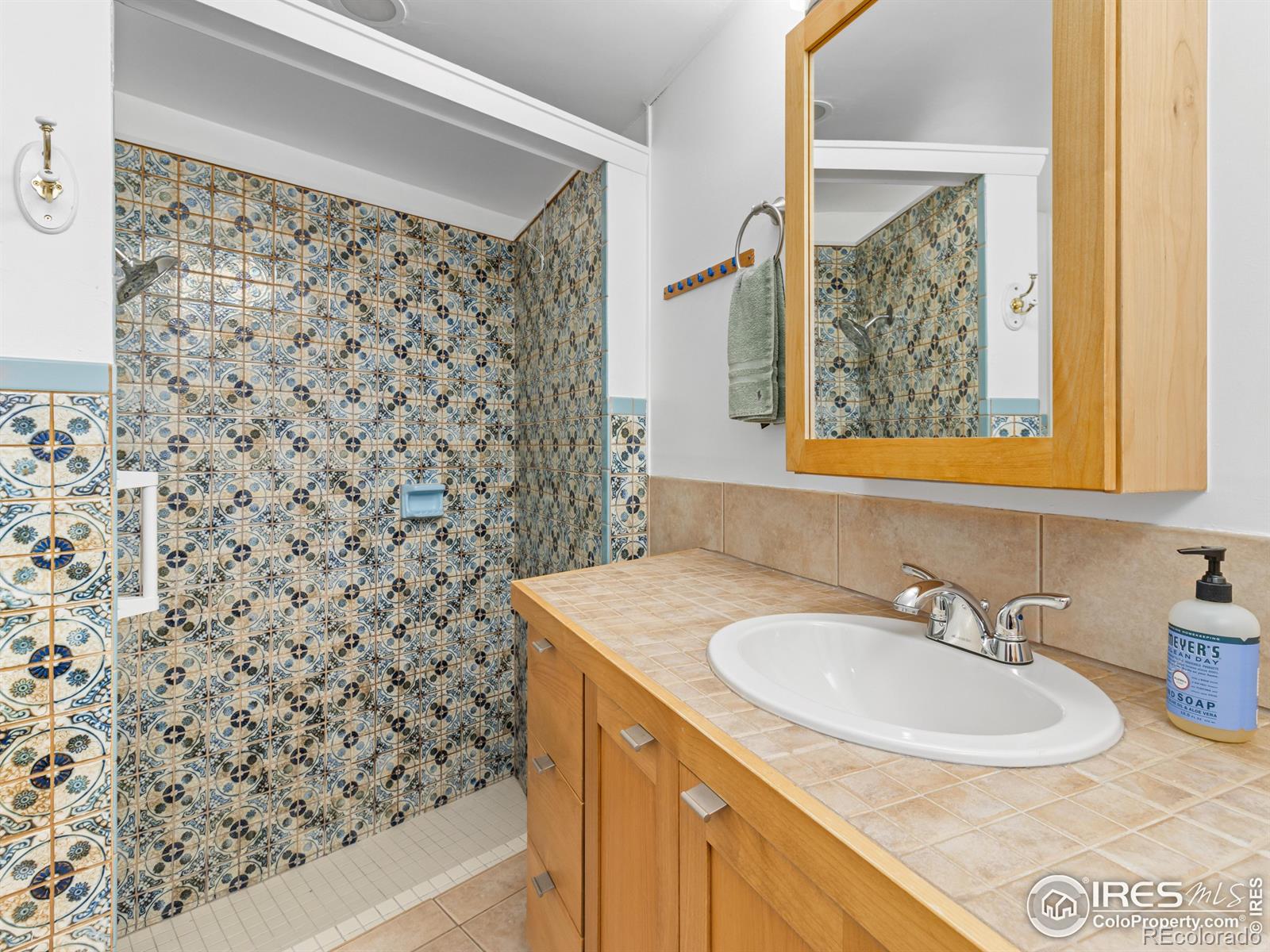 MLS Image #16 for 1411  vail court,estes park, Colorado