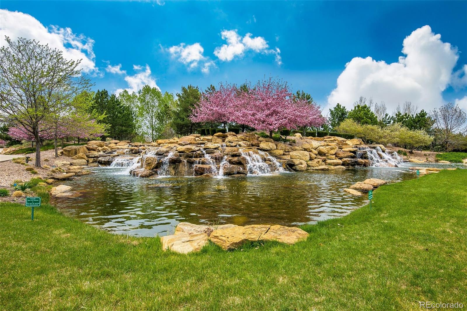 MLS Image #41 for 4965  bierstadt loop,broomfield, Colorado