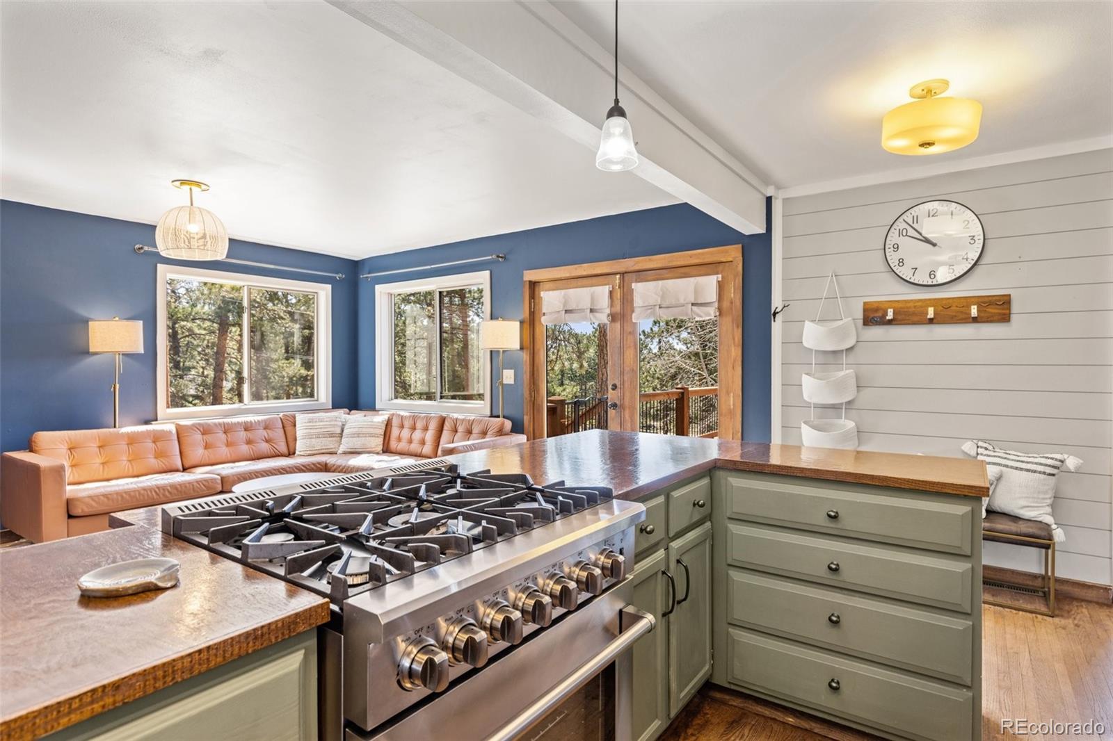 MLS Image #14 for 377  homestead road,bailey, Colorado
