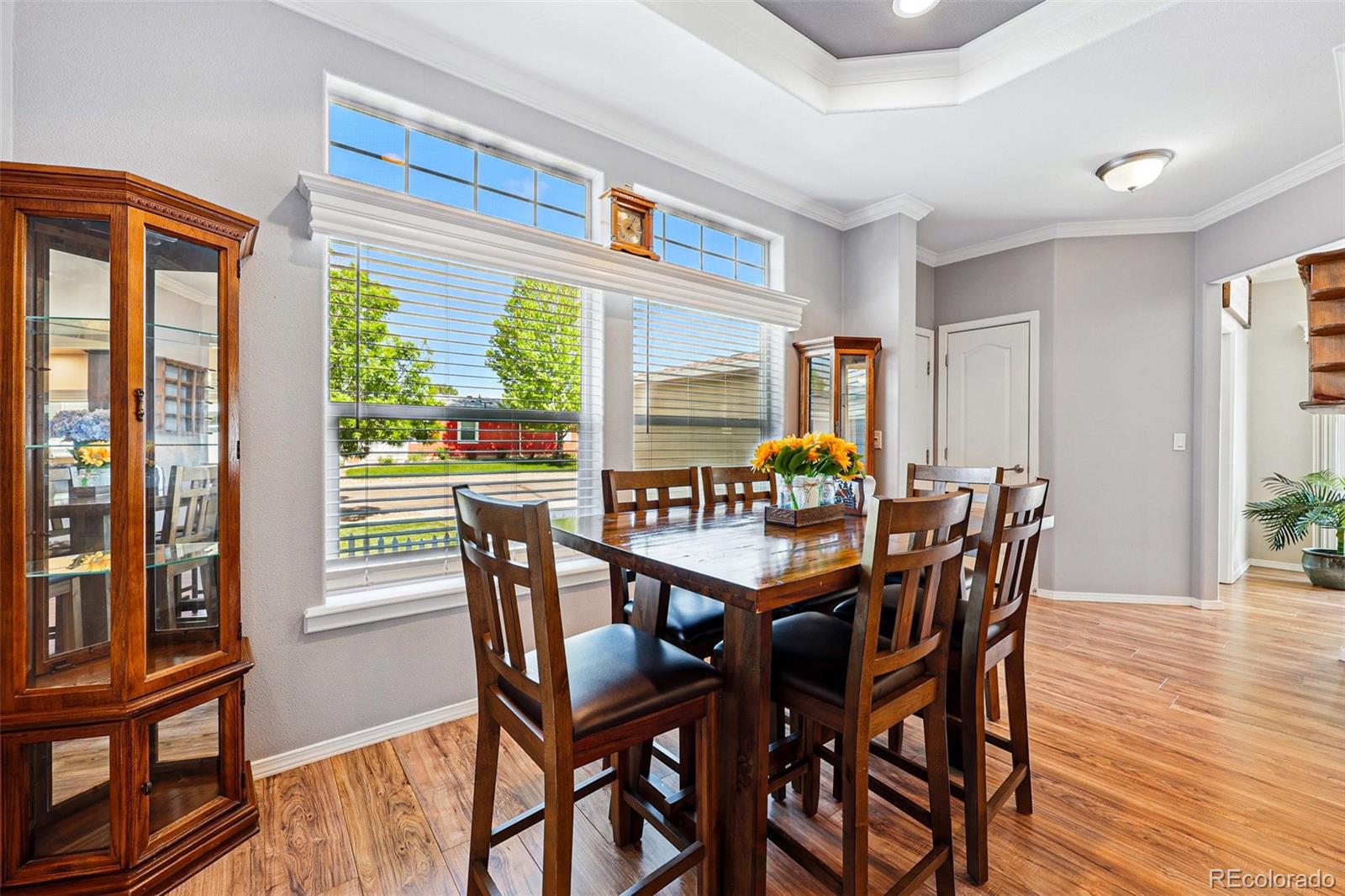 MLS Image #8 for 6231  indian paintbrush street,frederick, Colorado