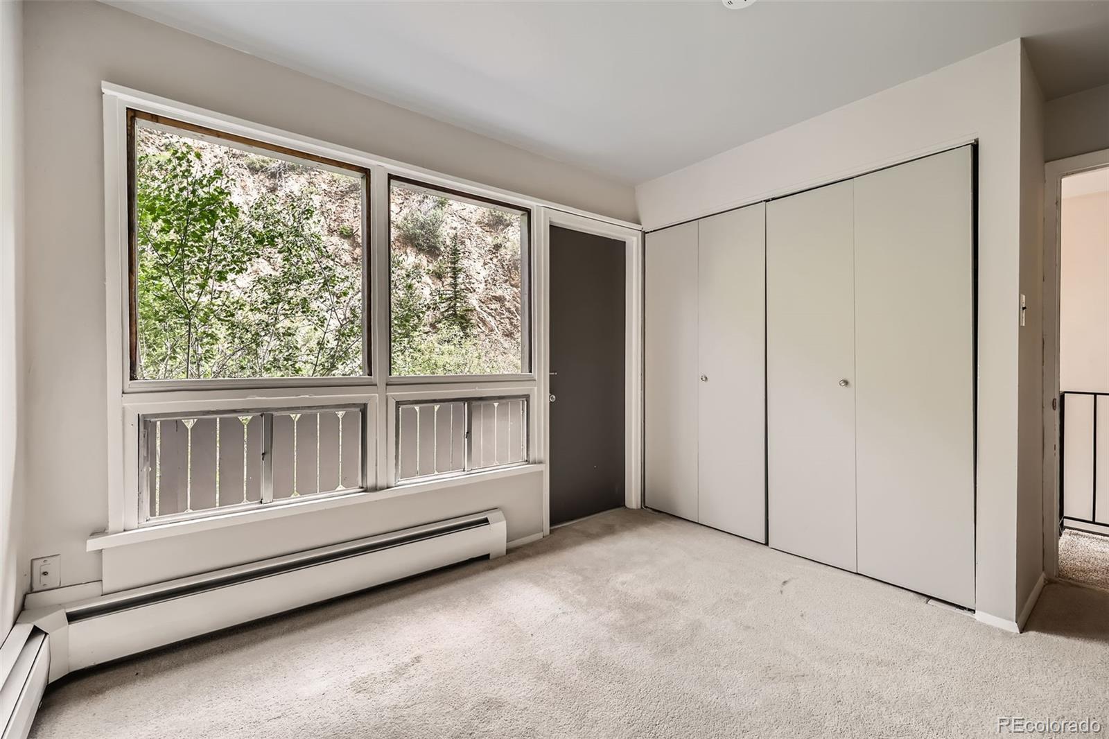 MLS Image #15 for 817  valley view drive,georgetown, Colorado
