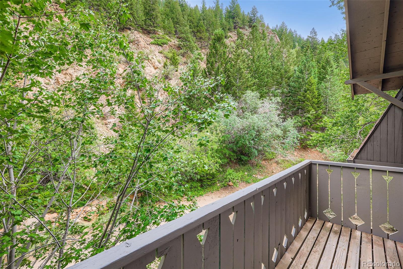 MLS Image #16 for 817  valley view drive,georgetown, Colorado