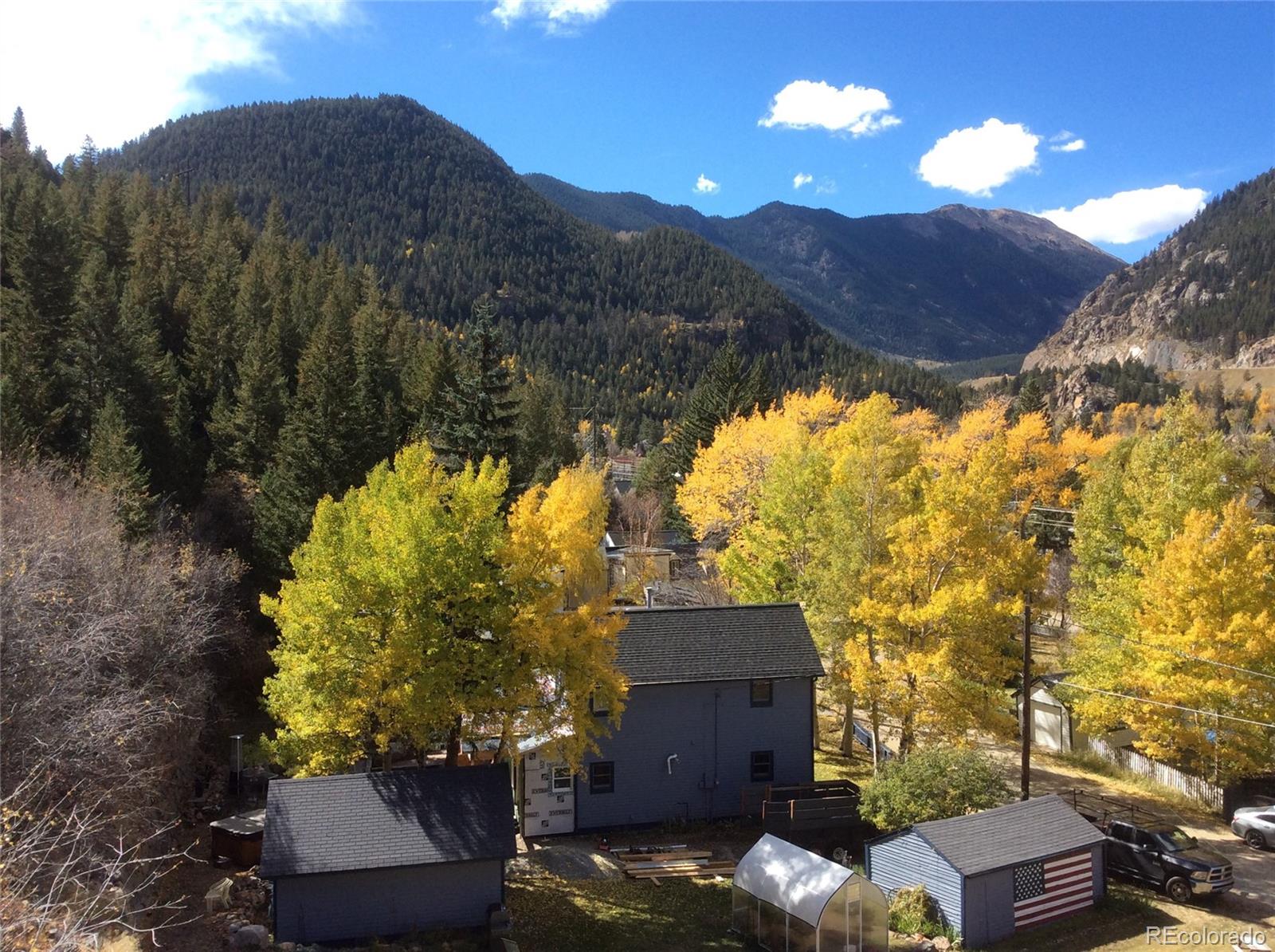 MLS Image #26 for 817  valley view drive,georgetown, Colorado