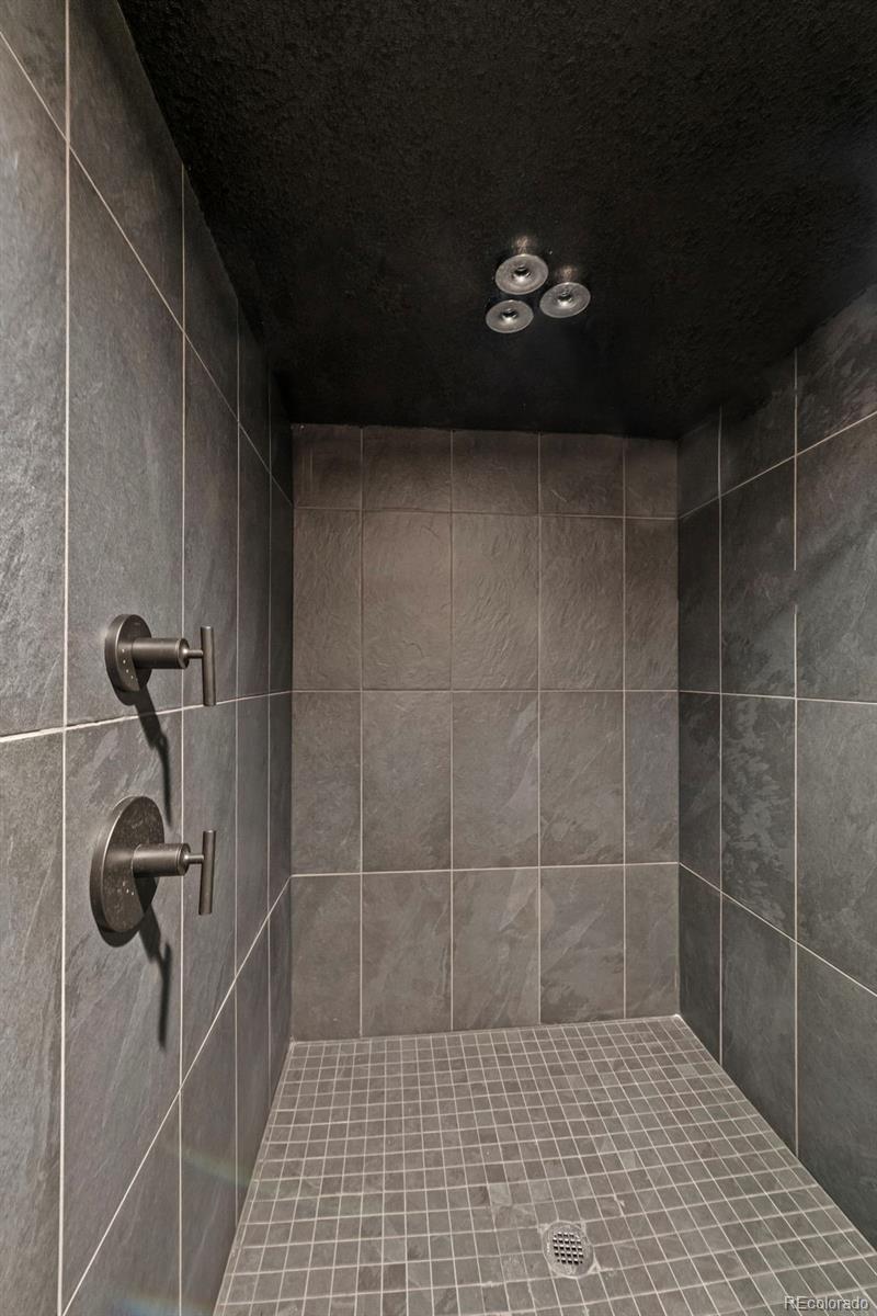 MLS Image #11 for 1113  southbury place,highlands ranch, Colorado