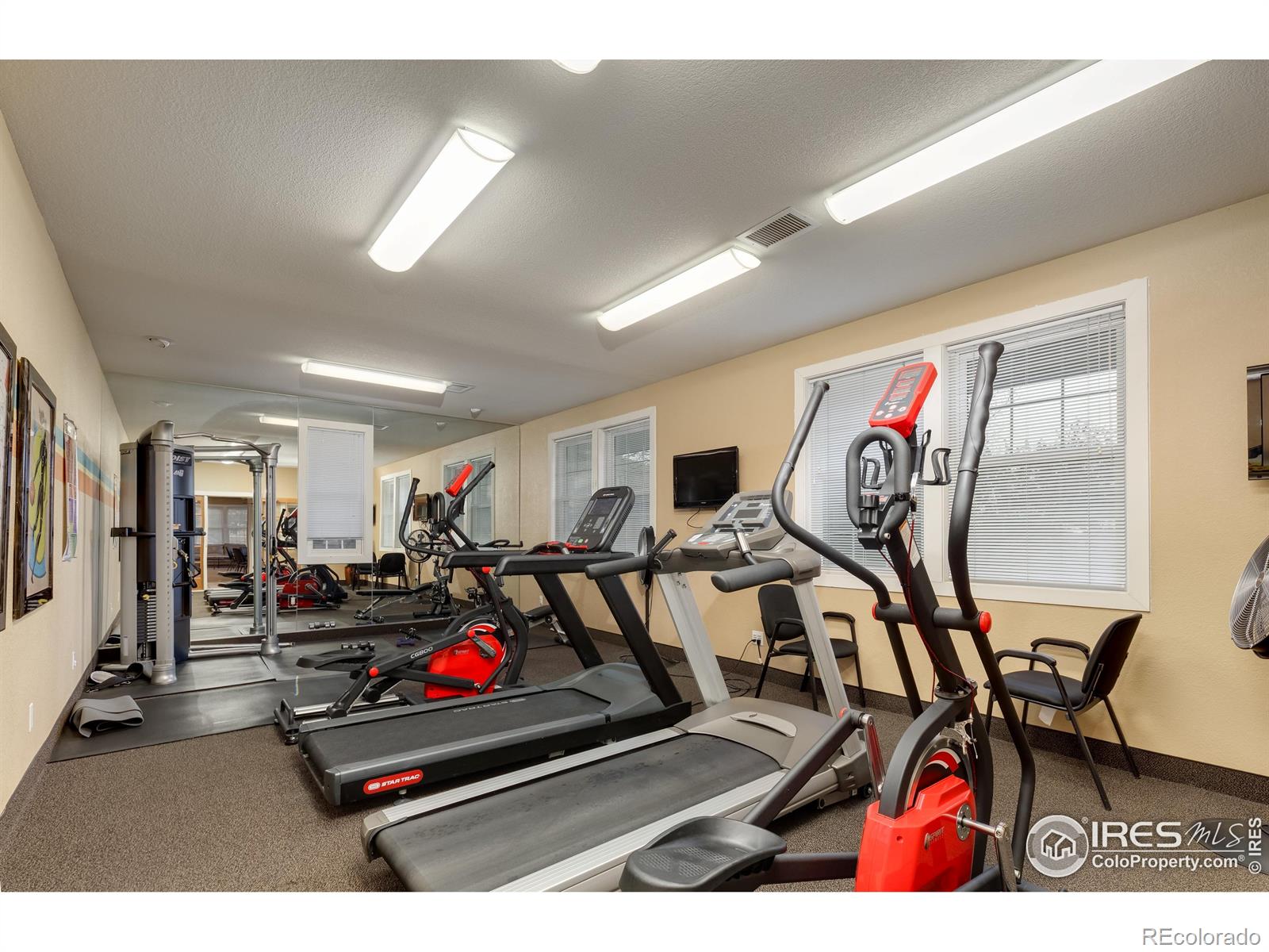 MLS Image #31 for 311  newaygo drive,fort collins, Colorado