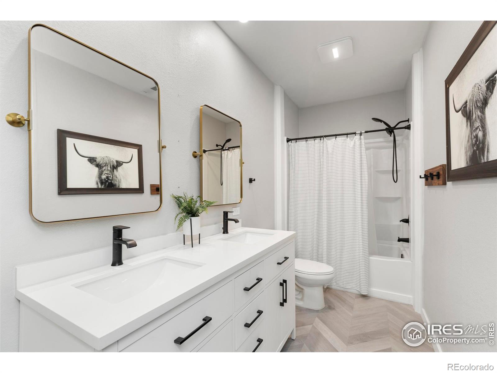 MLS Image #25 for 1510  kings crown drive,milliken, Colorado