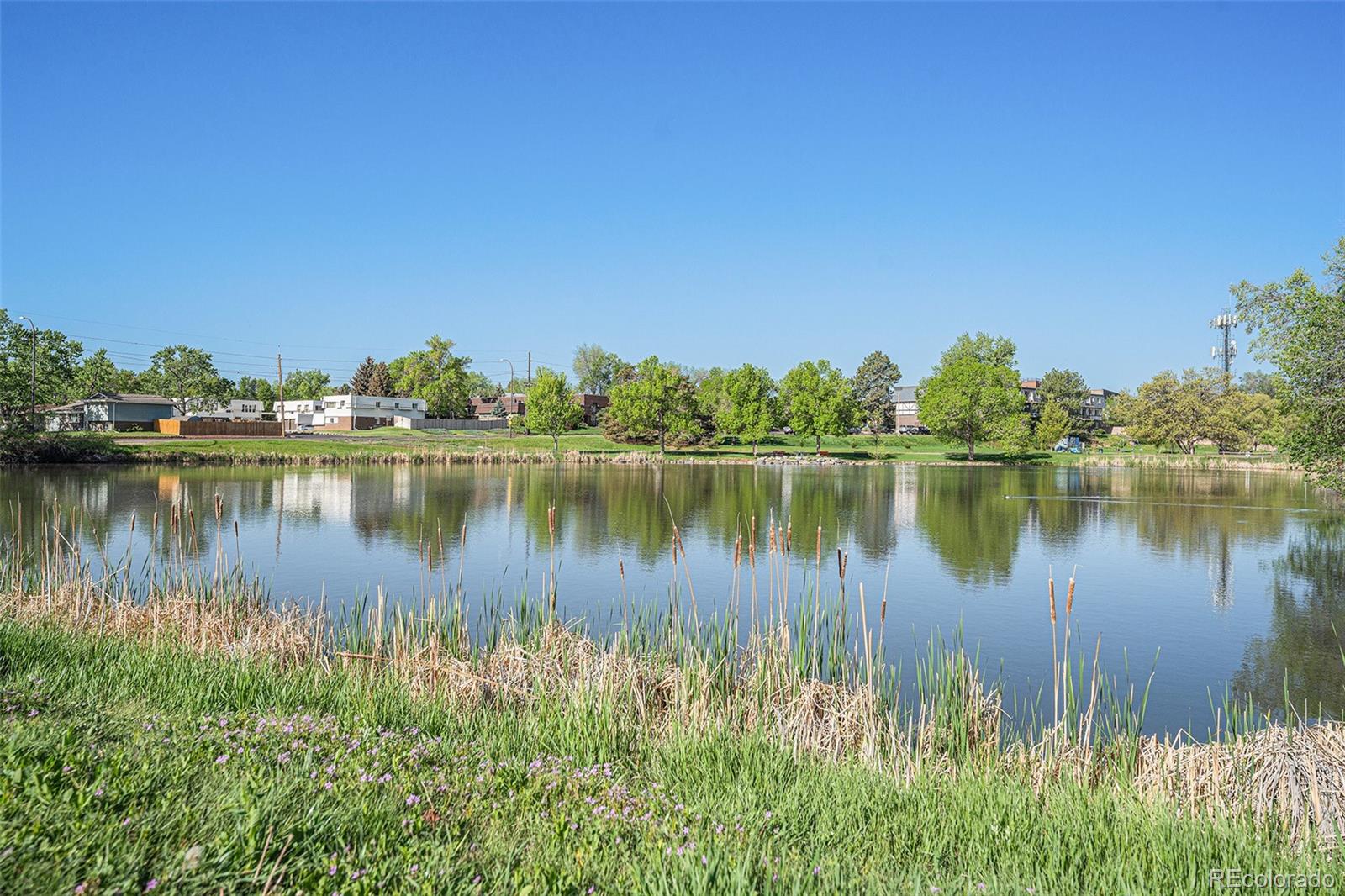 MLS Image #42 for 8626 w utah avenue,lakewood, Colorado