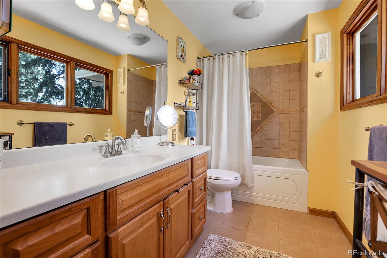 MLS Image #22 for 7753  red fox drive,evergreen, Colorado
