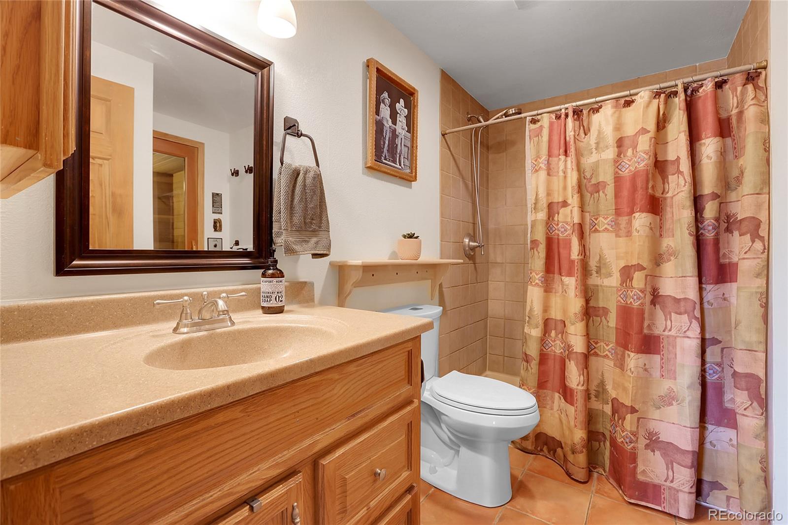 MLS Image #37 for 7753  red fox drive,evergreen, Colorado