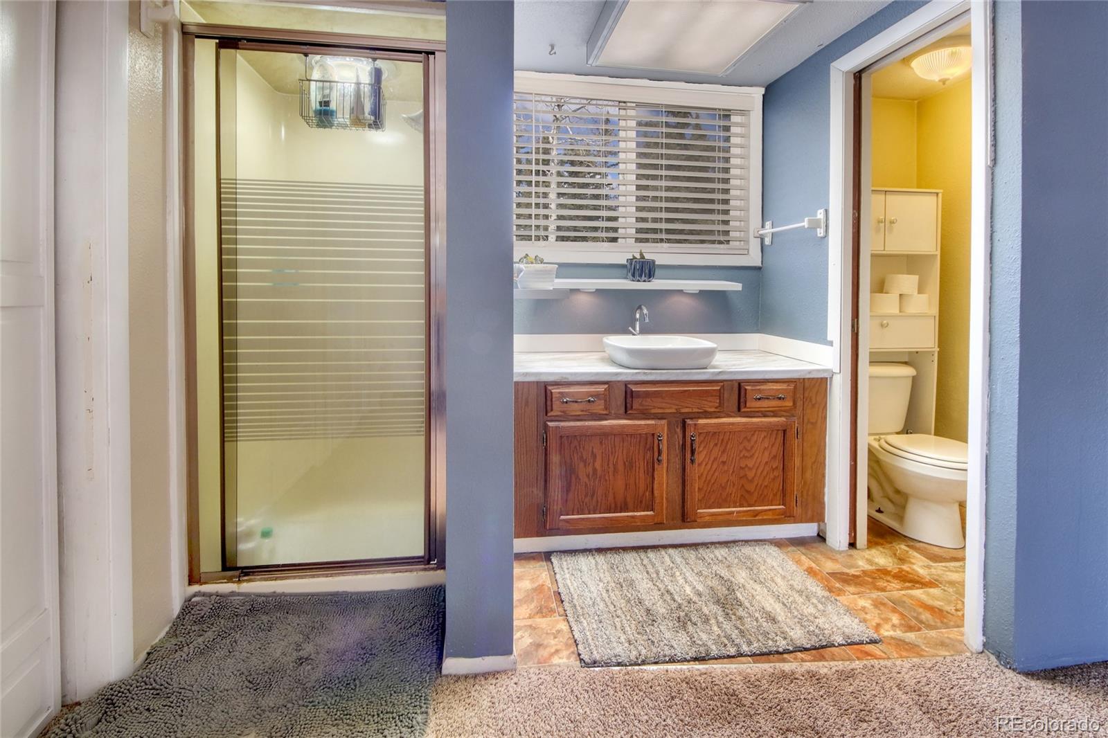 MLS Image #24 for 397  will scarlet drive,divide, Colorado