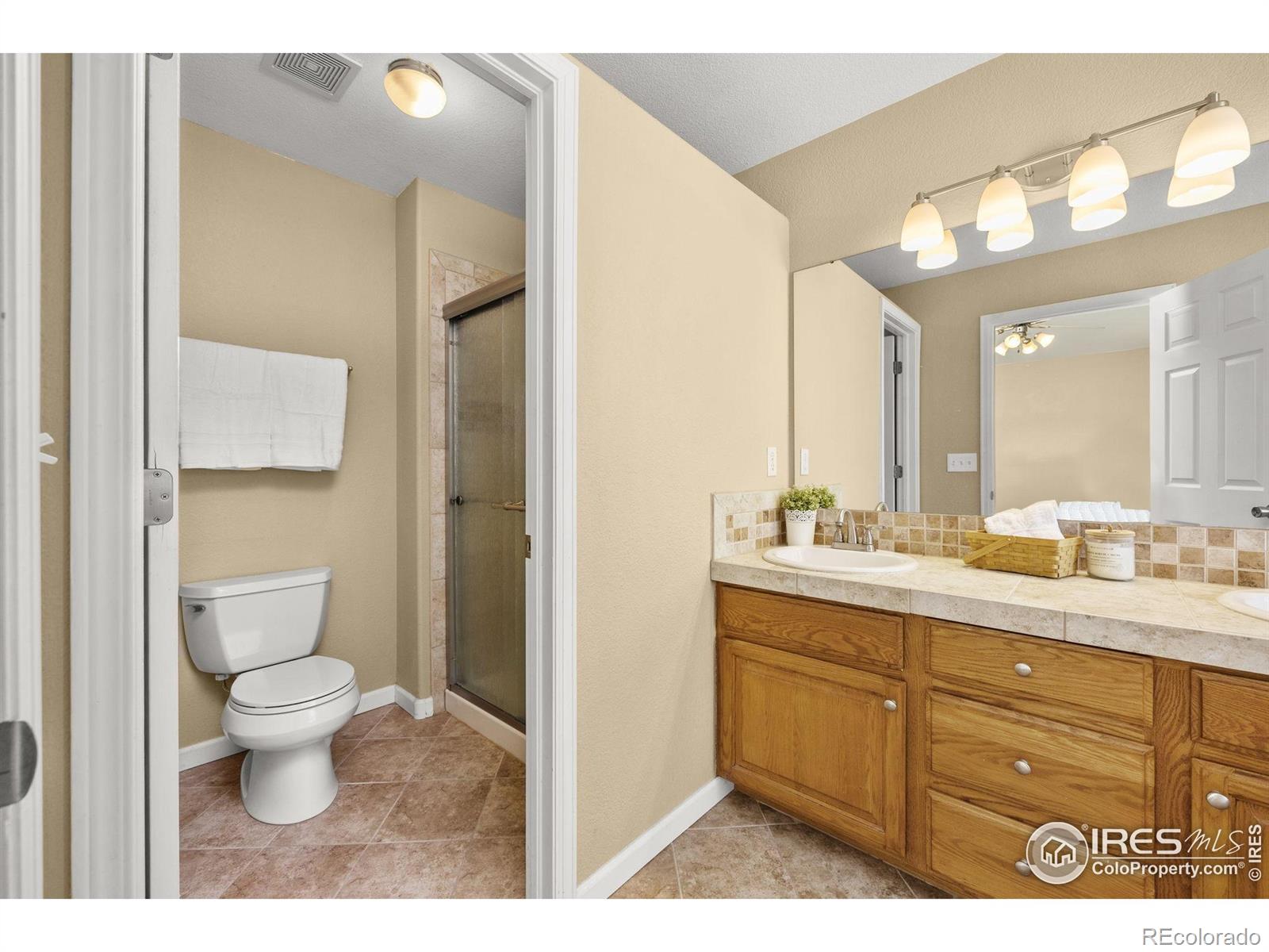 MLS Image #21 for 316  whitney bay ,windsor, Colorado