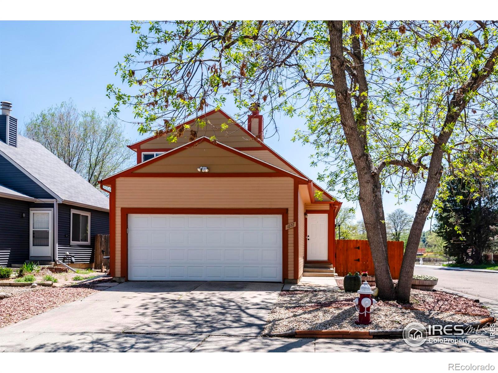 MLS Image #1 for 1072  townley circle,longmont, Colorado