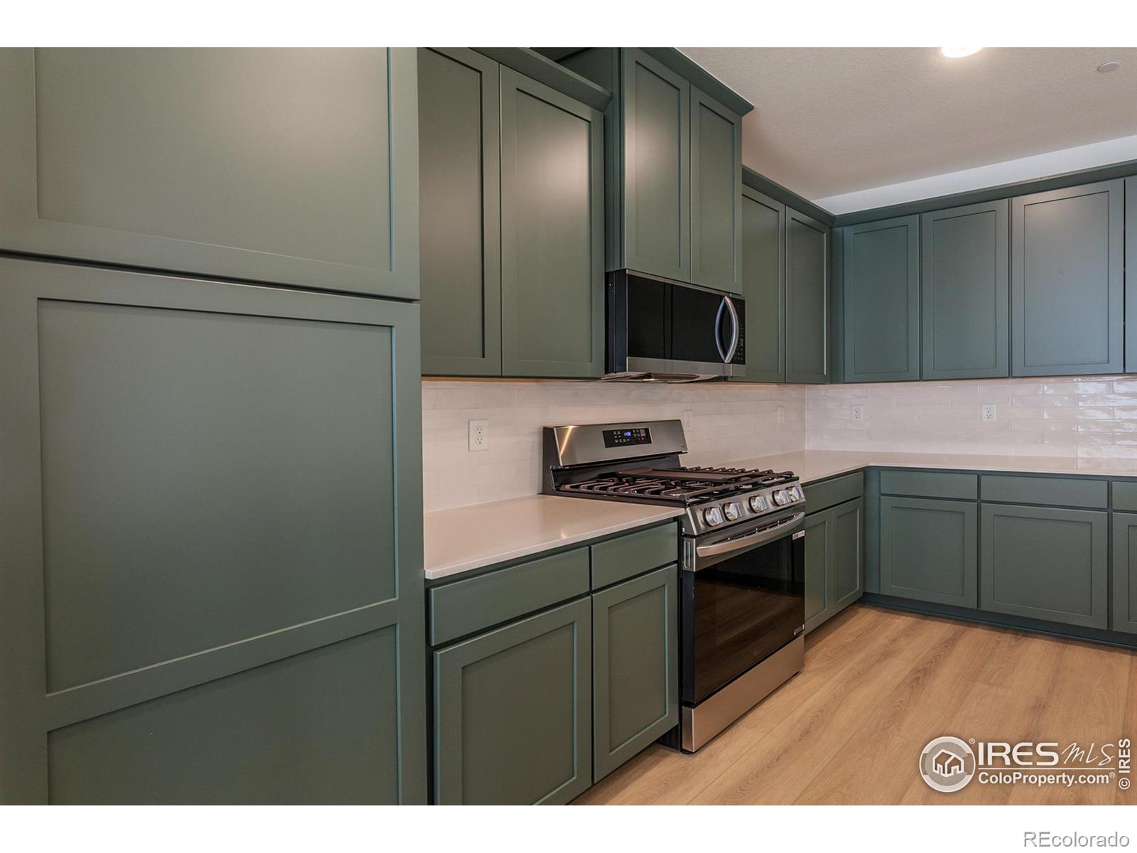 MLS Image #19 for 4901  autumn leaf drive,timnath, Colorado