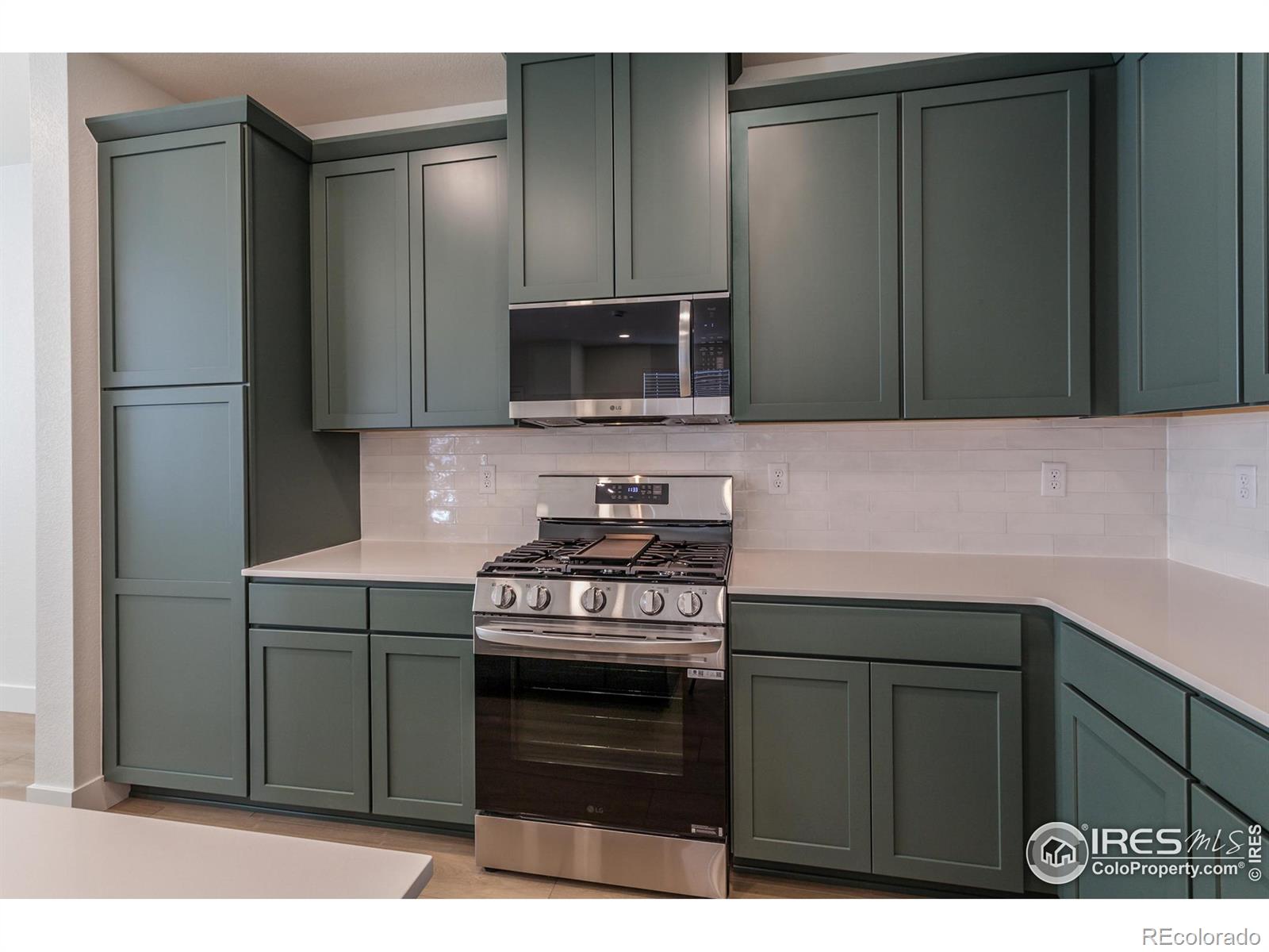 MLS Image #20 for 4901  autumn leaf drive,timnath, Colorado