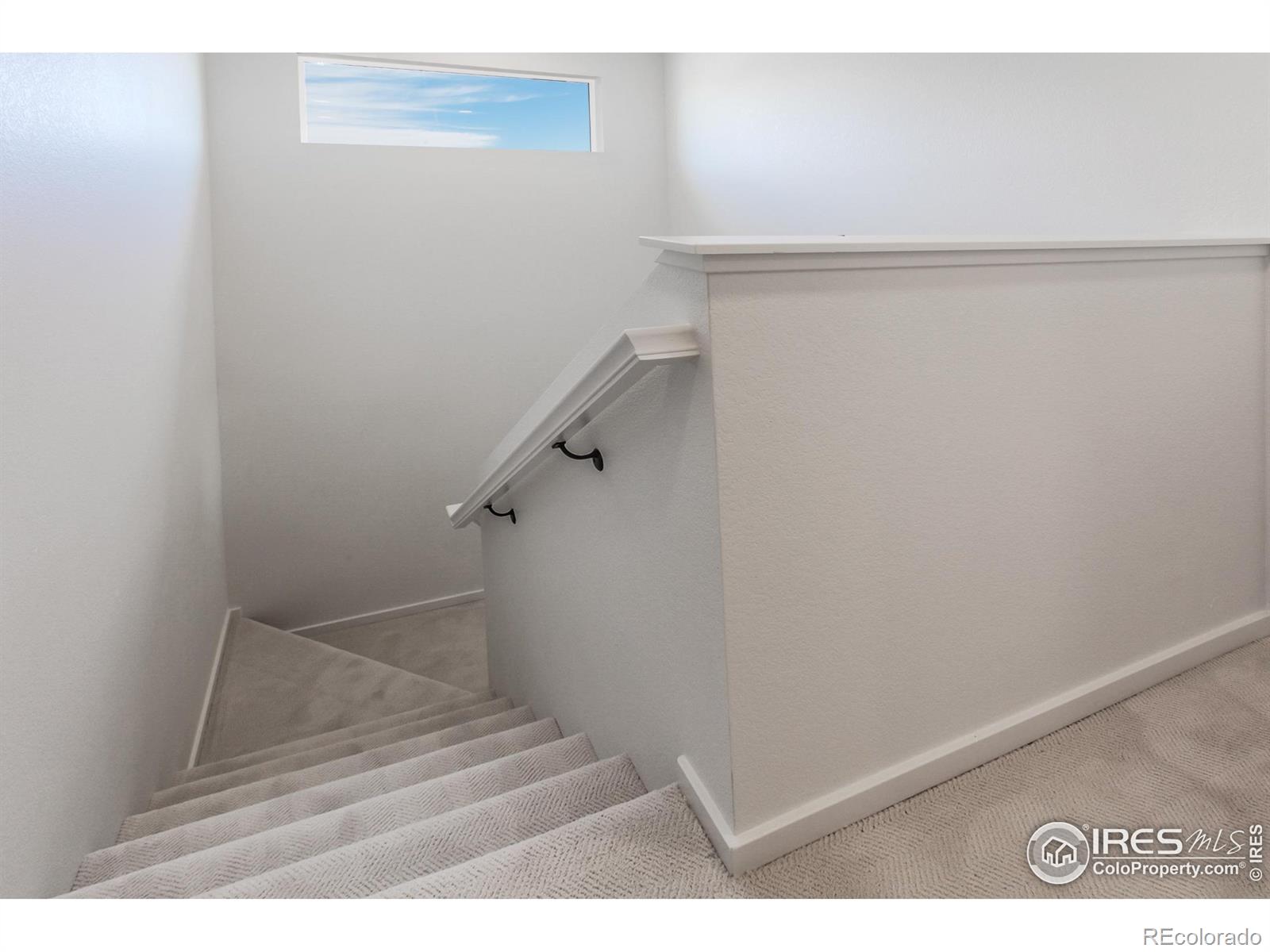 MLS Image #22 for 4901  autumn leaf drive,timnath, Colorado