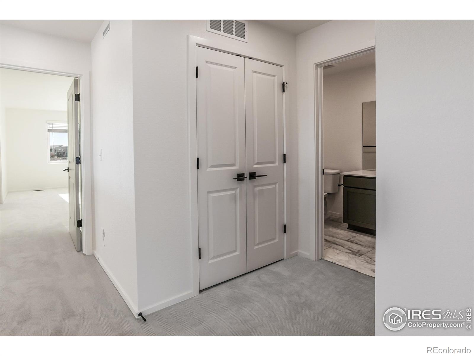 MLS Image #23 for 4901  autumn leaf drive,timnath, Colorado