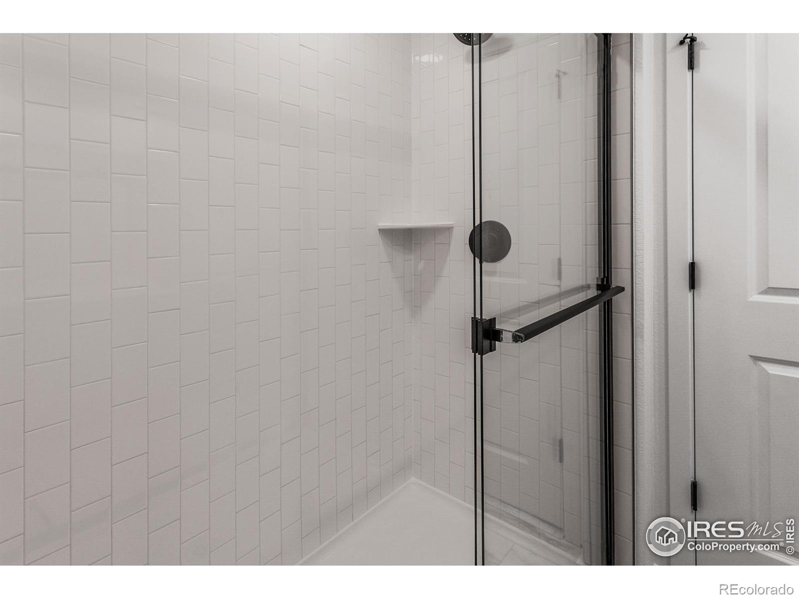 MLS Image #27 for 4901  autumn leaf drive,timnath, Colorado