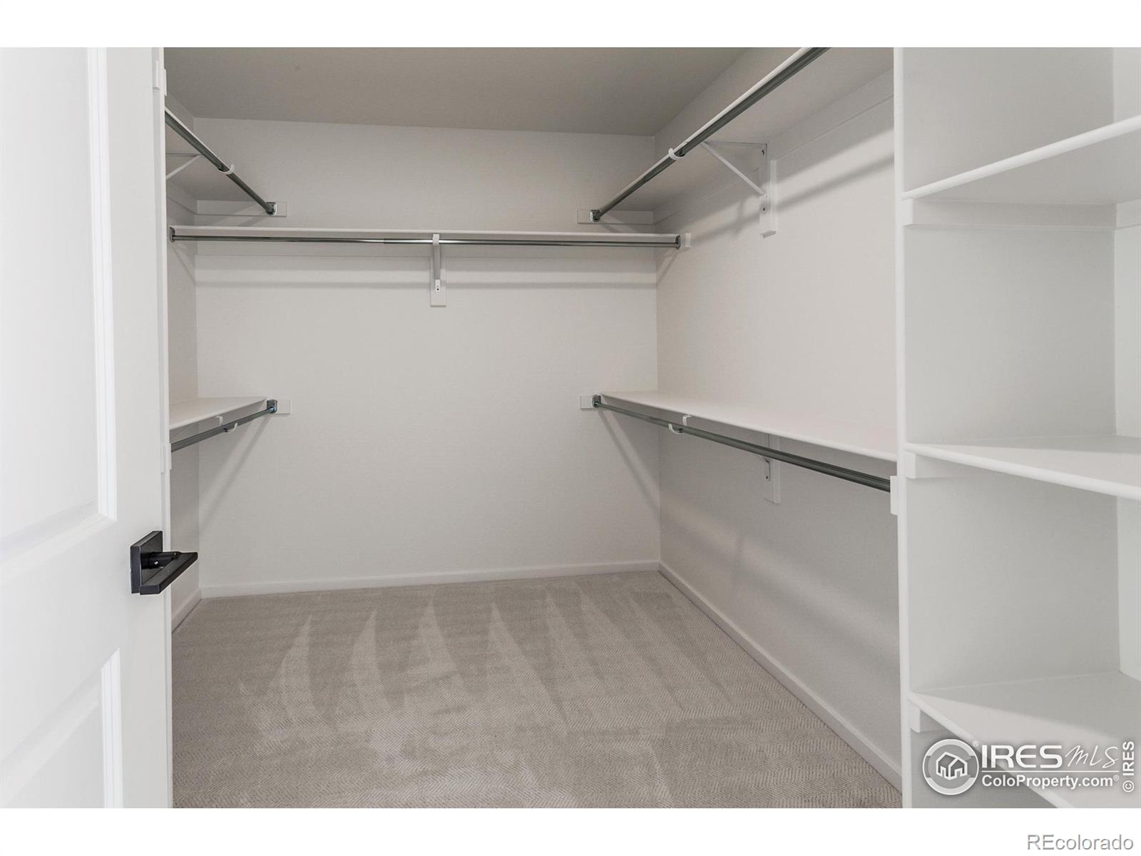 MLS Image #28 for 4901  autumn leaf drive,timnath, Colorado