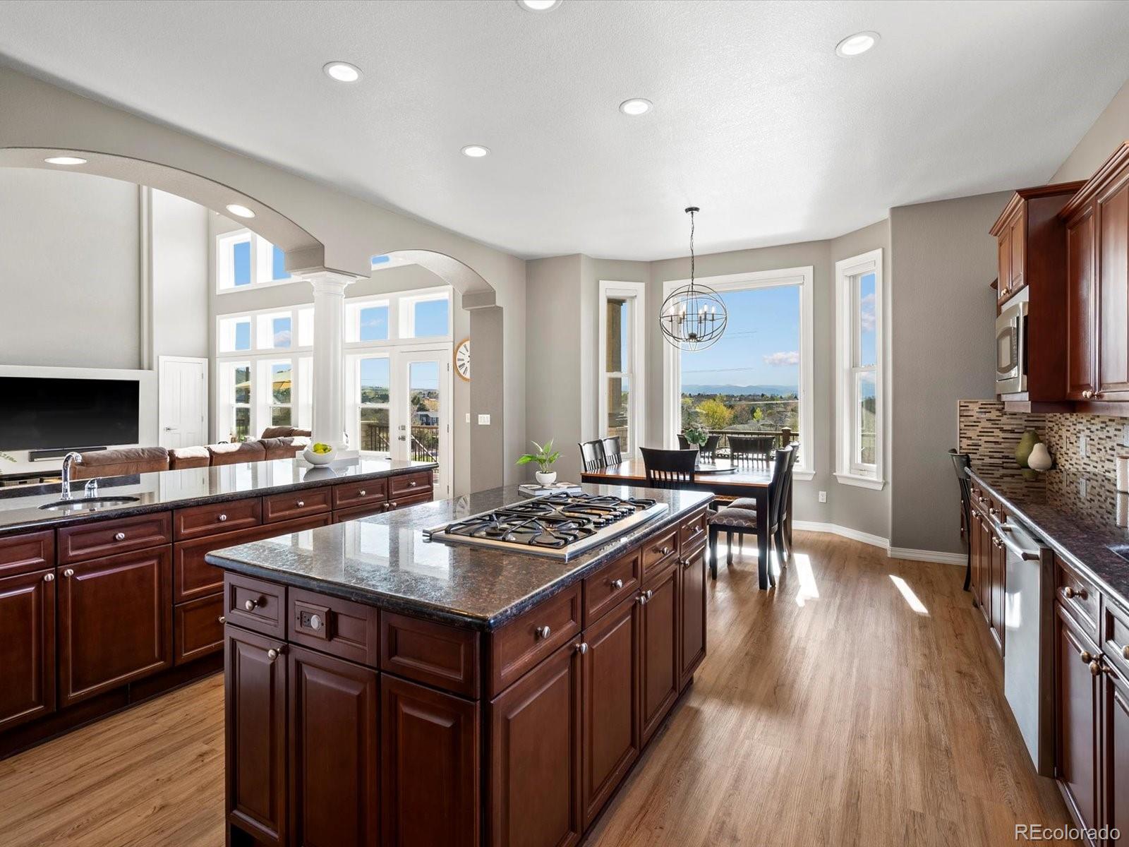 MLS Image #9 for 10531  lieter place,lone tree, Colorado