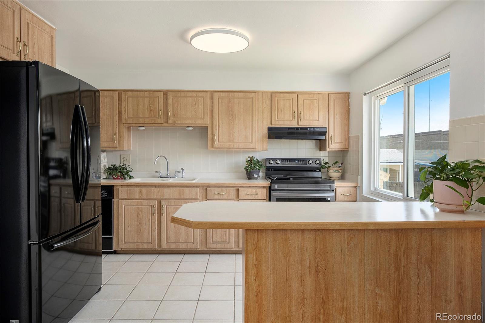 MLS Image #4 for 3065  zion street,aurora, Colorado