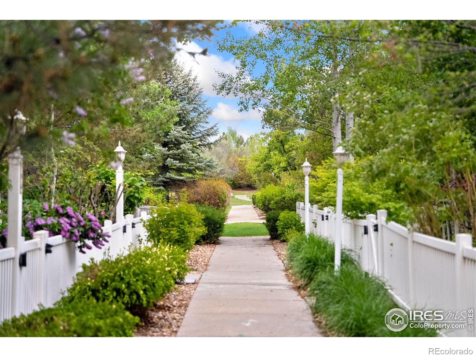 MLS Image #30 for 2155  grays peak drive,loveland, Colorado