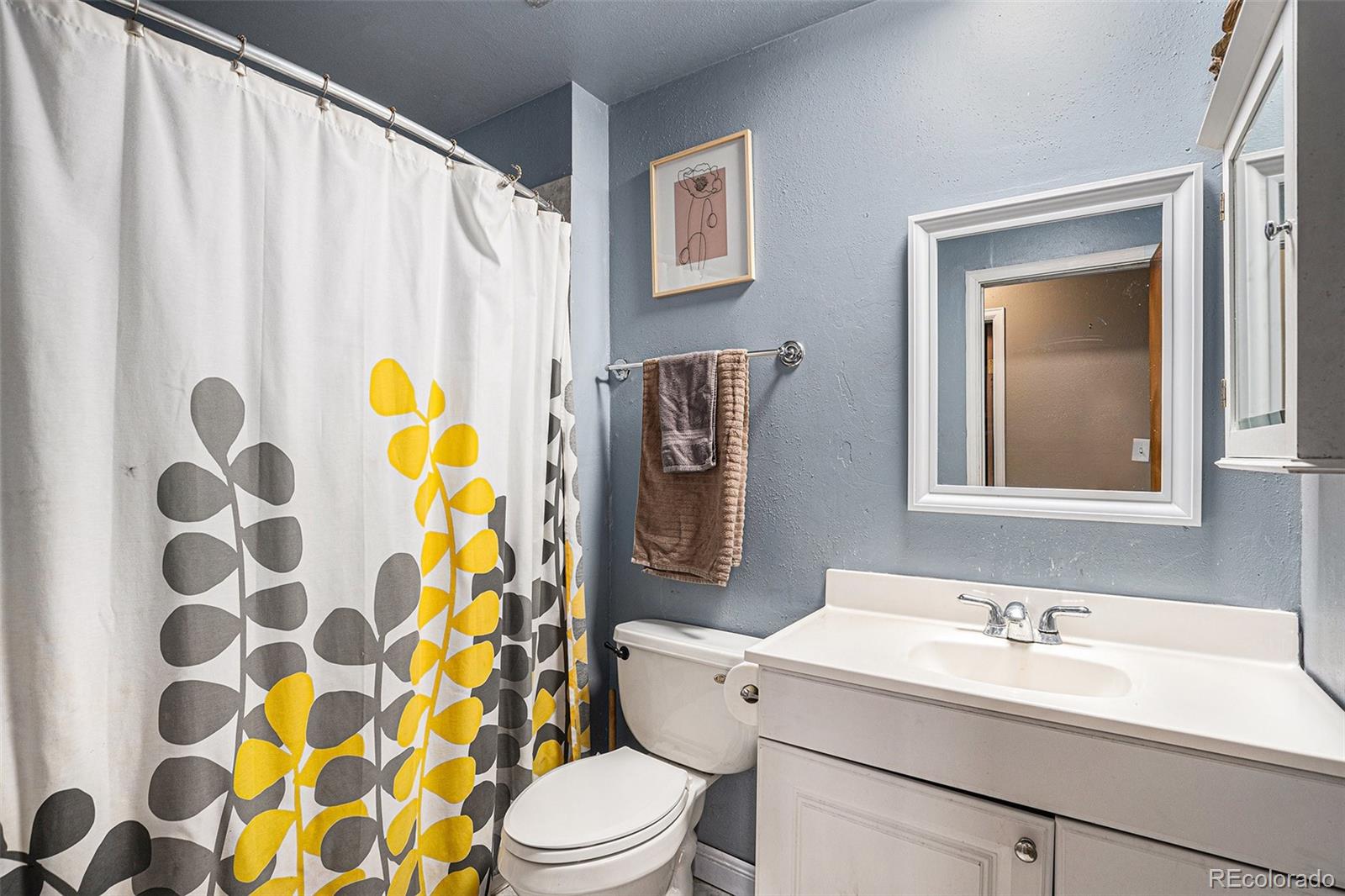 MLS Image #11 for 547 s 3rd avenue ,brighton, Colorado