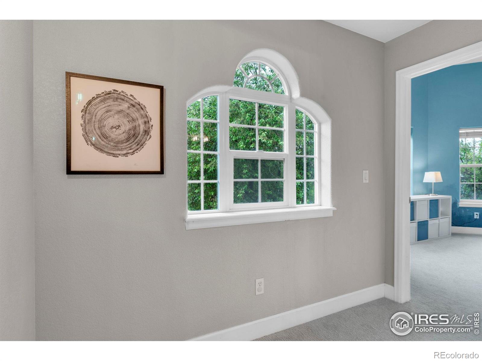 MLS Image #25 for 1369  padfield place,erie, Colorado