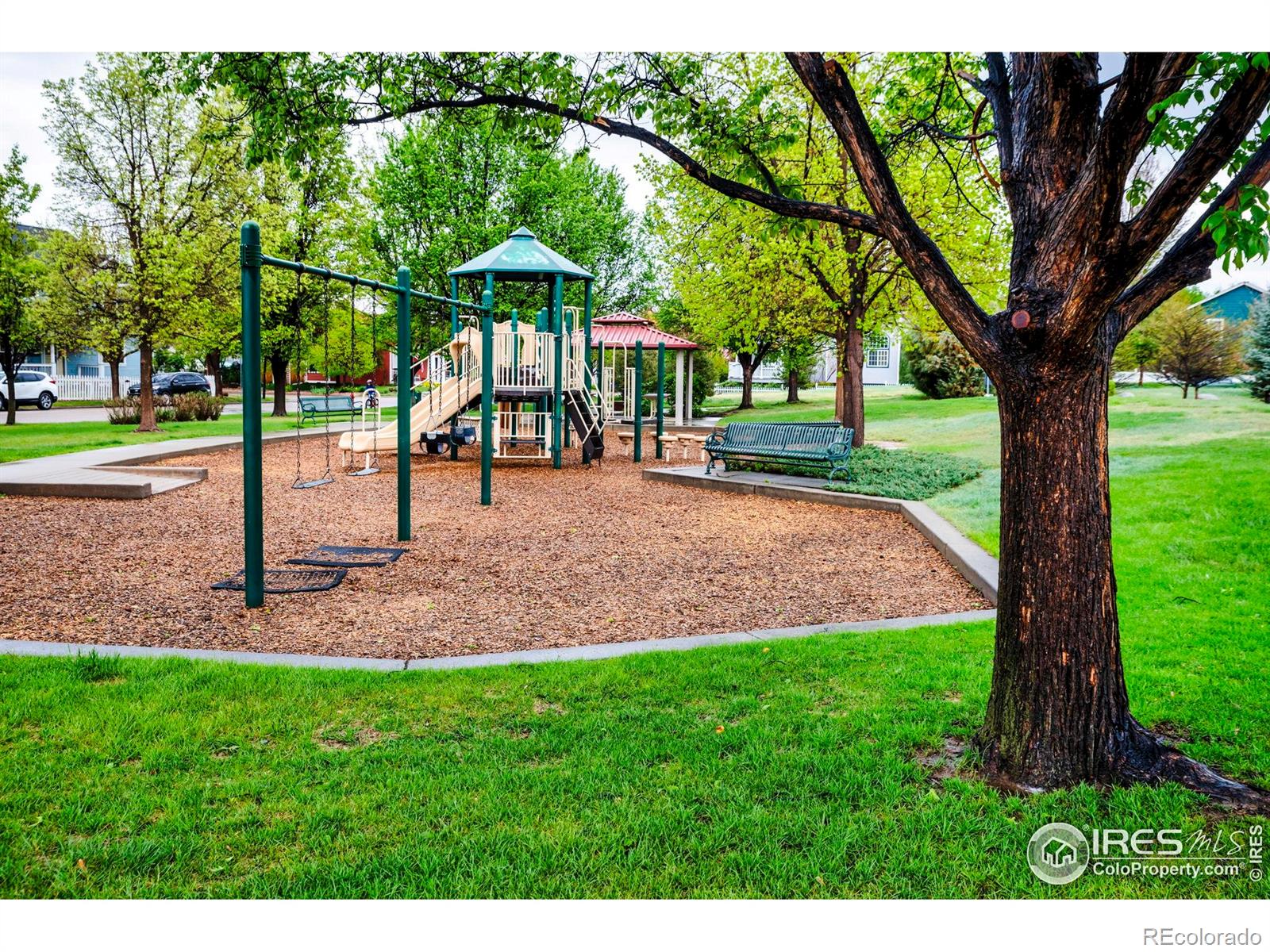 MLS Image #37 for 1369  padfield place,erie, Colorado
