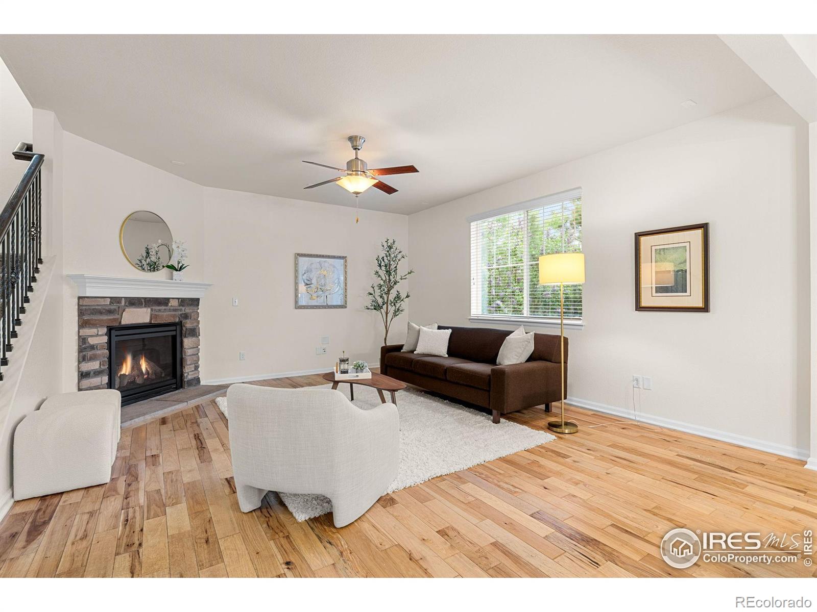 MLS Image #6 for 687  jarvis drive,erie, Colorado
